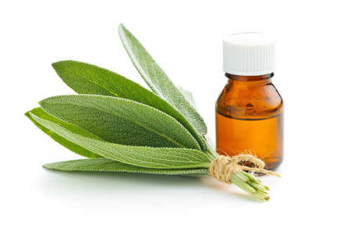 Tree Harvest Sage Essential Oil