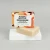 Alter Native Coffee & Cedarwood Shaving Soap Boxed 95g