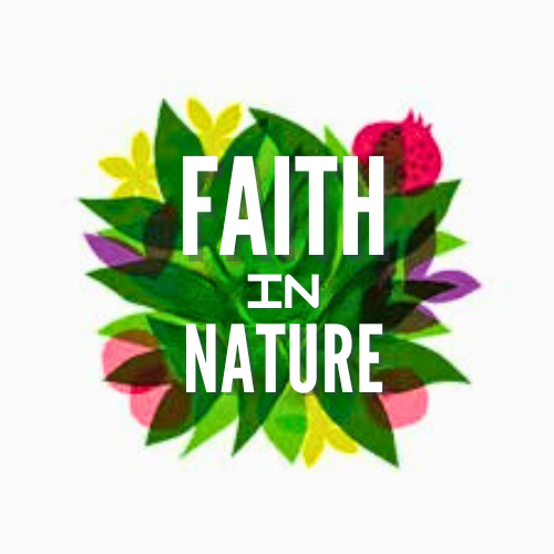 Faith in Nature Dragon Fruit Body Wash 400ml