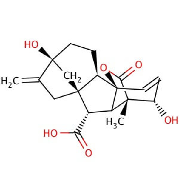 Gibberellic Acid with 10% Potassium Phosphate