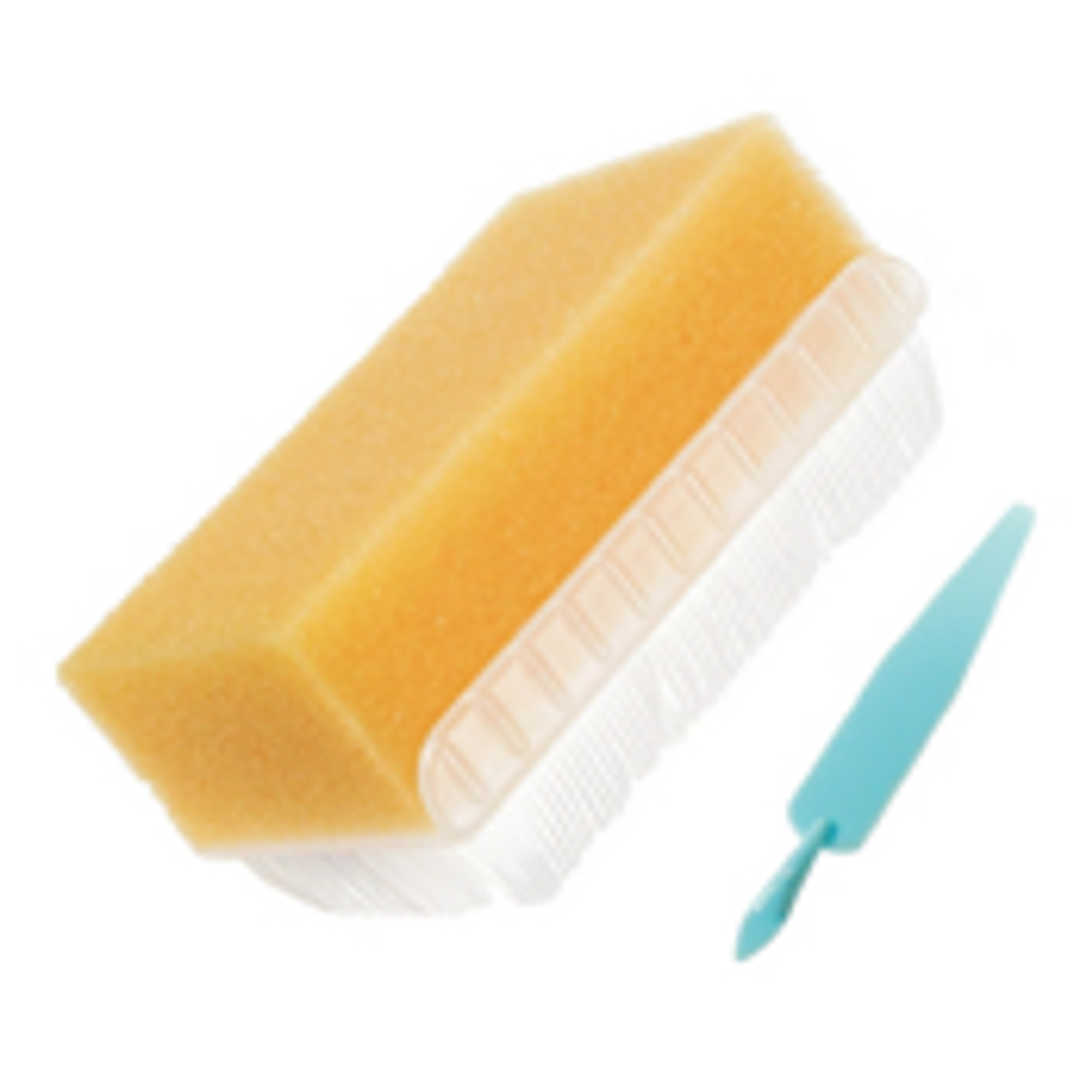 Scrub Brushes