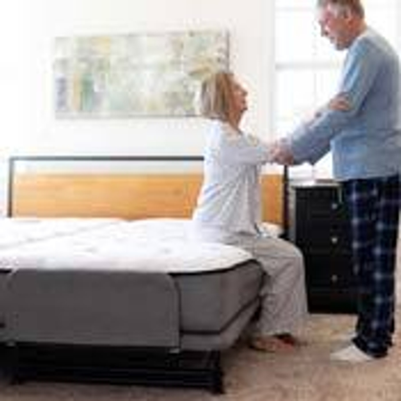 Hi-Lo Adjustable Beds from $3,045
