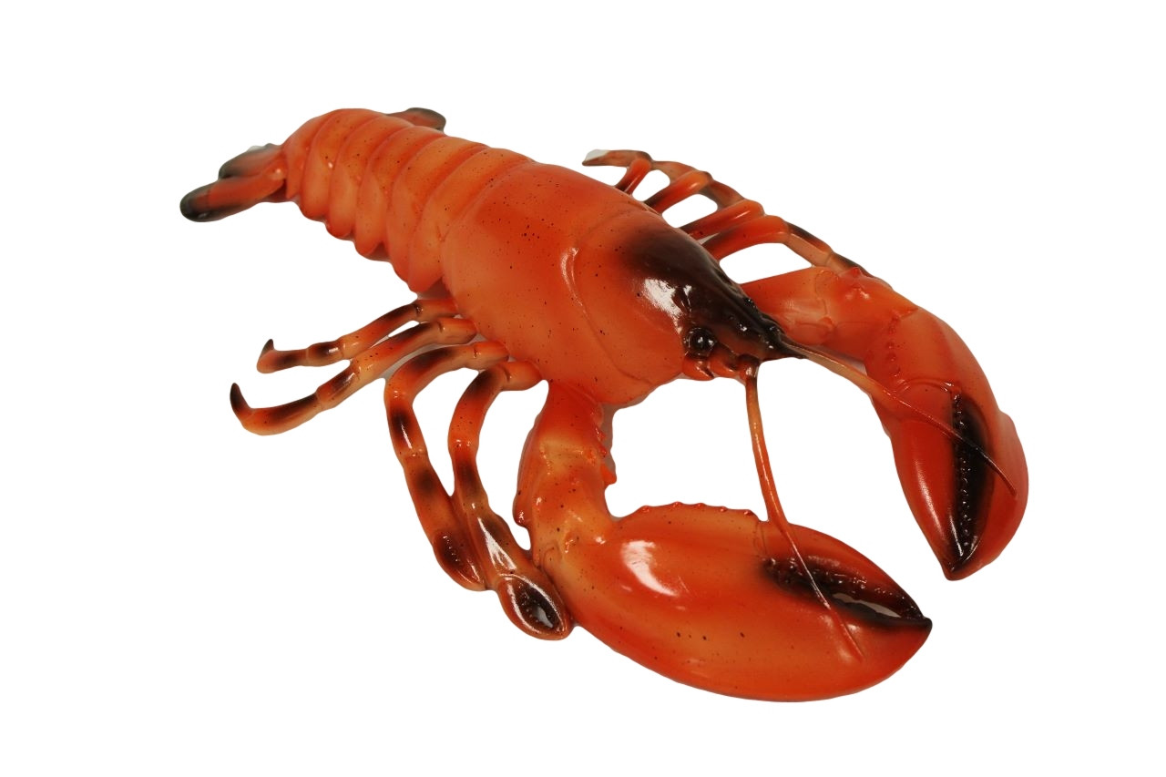 Coastal Red Large Wall Lobster