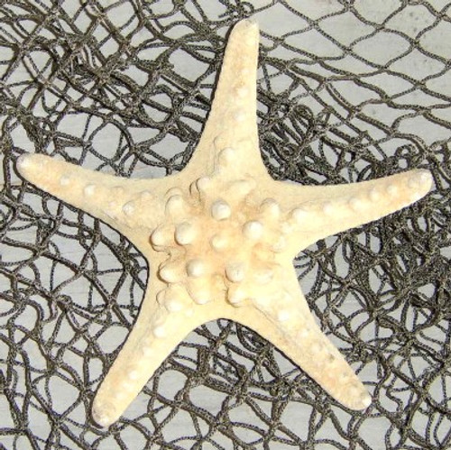 Nautical Seasons Knobby Starfish/Net Combo