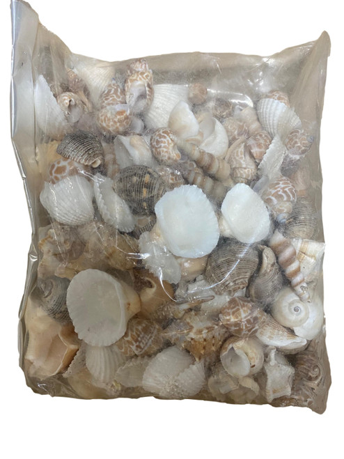 Bag of Sea Shells
Nautical Seasons 