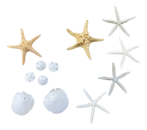 Fish Net Starfish Sand Dollar 
Decorating Package 
Nautical Seasons 