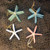 Glitter Starfish Choose Color Pink, Coral, Blue, Green 6 
Nautical Seasons 