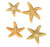 Sugar Starfish Authentic 
Nautical Seasons