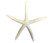 Mini Finger Starfish Pencil Starfish 
Nautical Seasons 