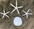 Starfish Sand Dollar Fish Net Decorating Set 
Nautical Seasons 