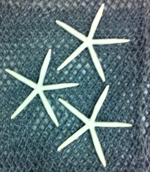 8" White Finger Star Fish Set of 3 Replica