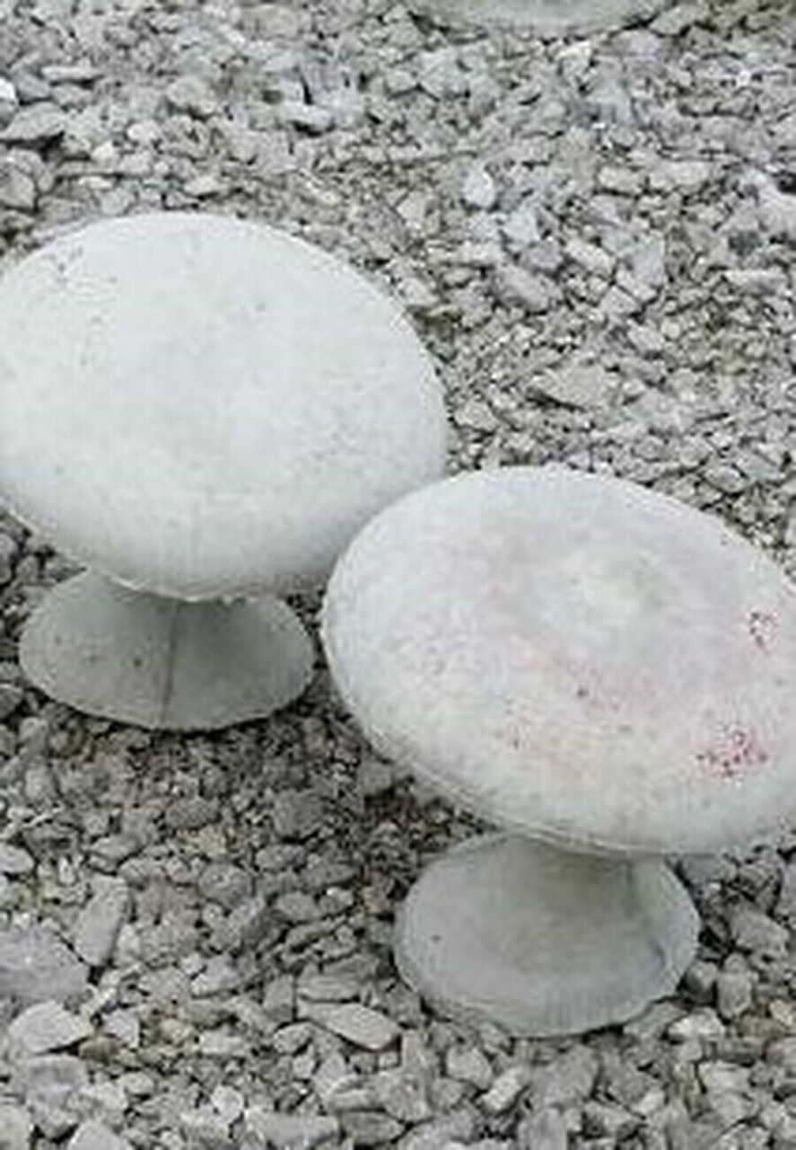 Sm. Single CMC Mushroom - Allison's Concrete & Gifts