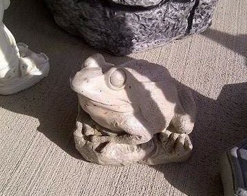 Detailed Sitting Frog