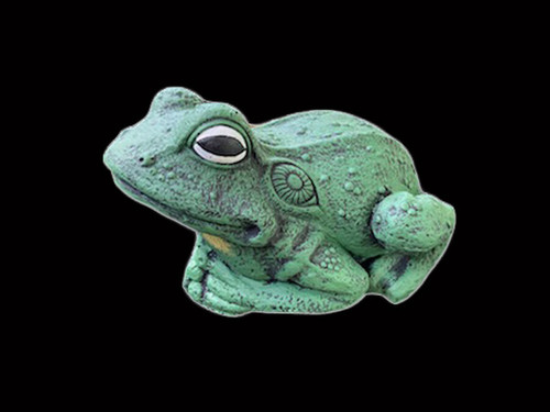 Wart Frog