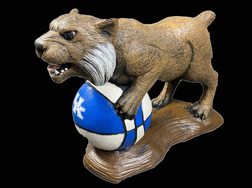 Wildcat on Ball