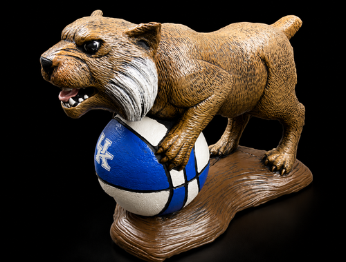 Wildcat on Ball