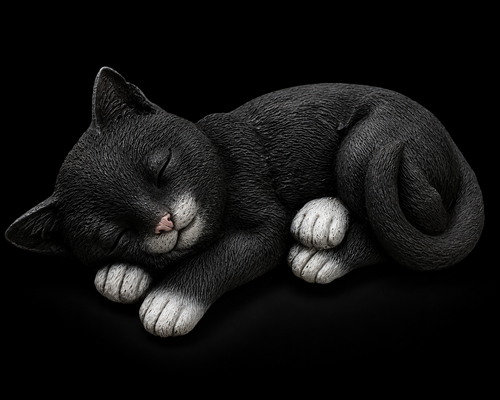 Lazy Cat