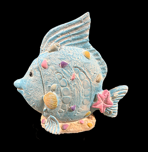 Seashell Angel Fish