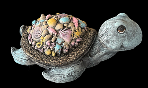 Seashell Turtle