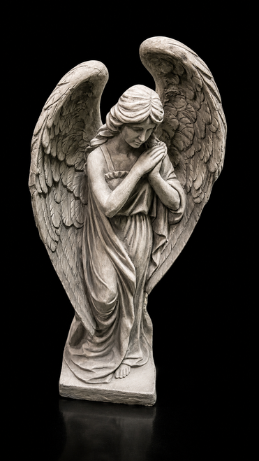 Md. Wing Over Angel