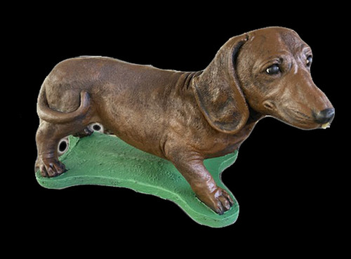 Lg. Dachshund