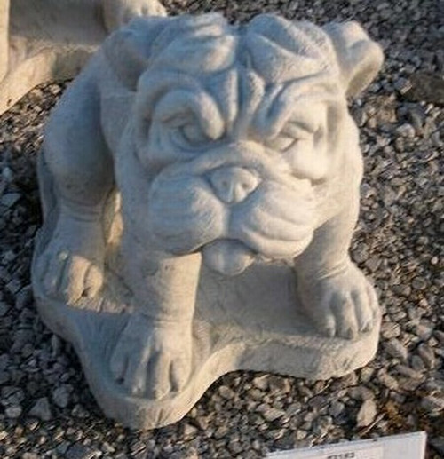 Wrinkled Dog