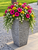 Tall Rock Pot