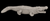 Alligator Lg.