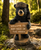 OUR NECK OF THE WOODS BEAR