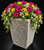 Short Rock Pot