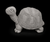 Grumpy Turtle