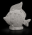 Seashell Angel Fish
