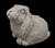 Wilcox Rabbit