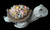 Seashell Turtle
