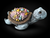 Seashell Turtle