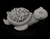 Seashell Turtle