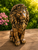 Regal Lion