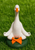 Meditating Goose