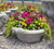 Md. Sunflower Pot