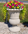 Pineapple Pot