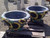 XL Sunflower Pot