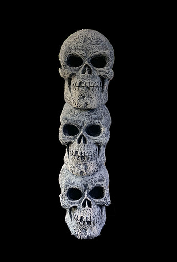 skulls__78285.1722972535.386.