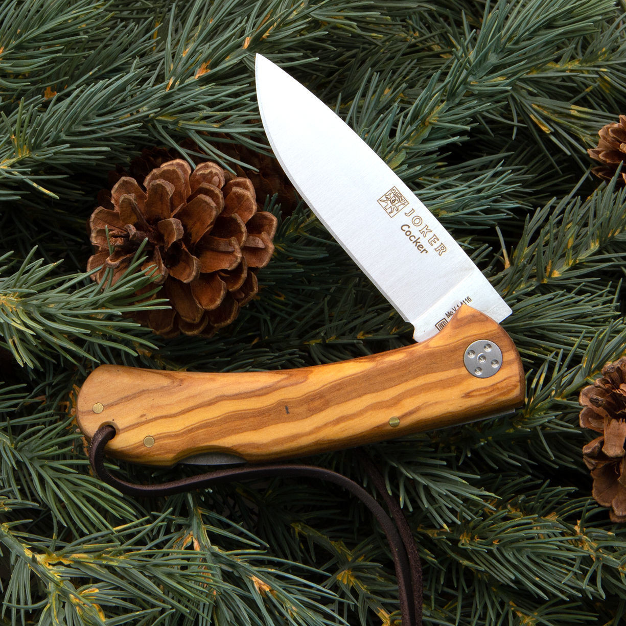 Joker Cocker Knife | Olive Wood Handle Lockback