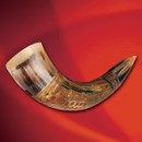 Dragon Scale Drinking Horn