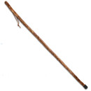 Ironwood Walking Stick