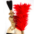 replica French 1st Empire Cuirassier Helmet is brass with red hackle plume, horsehair tail, adjustable leather and linen liner