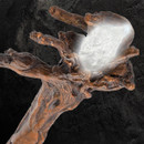 Illuminated Moria Staff of Gandalf is poly resin with removable battery operated LED crystal, includes certificate of authenticity