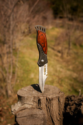 Unlocking the Secrets of the Folding Knife