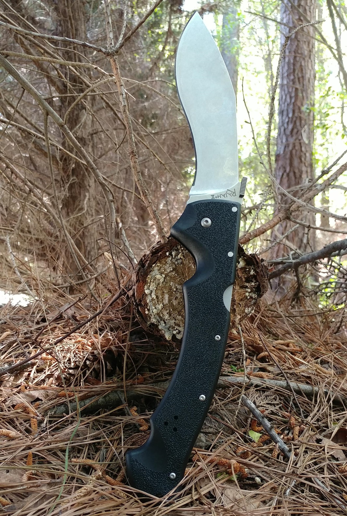 Tips on How to Maintain a Pocket Knife - Atlanta Cutlery Corporation