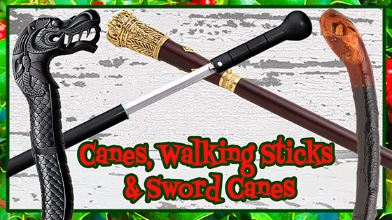 acc-walking-canes-2024-560-x-315.jpg